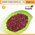 New Crop Clean Dark Red Kidney Beans